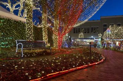 Best Holiday Lights Tours and Displays in New Jersey